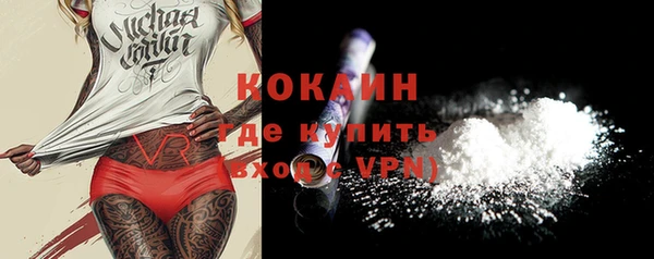 дживик Козловка