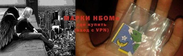 индика Козельск
