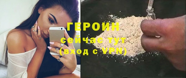 индика Козельск