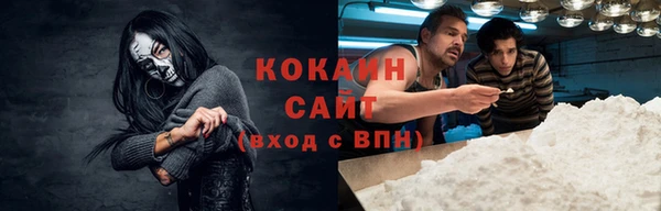 индика Козельск