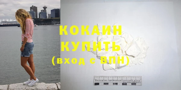 мдпв Кодинск