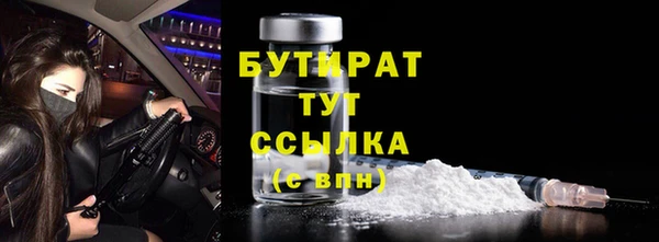 индика Козельск