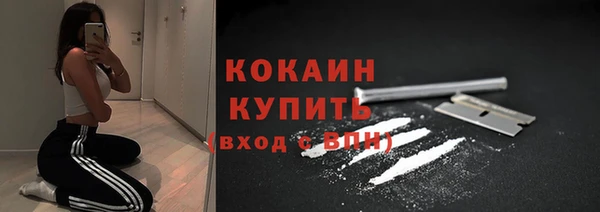 индика Козельск