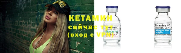 индика Козельск