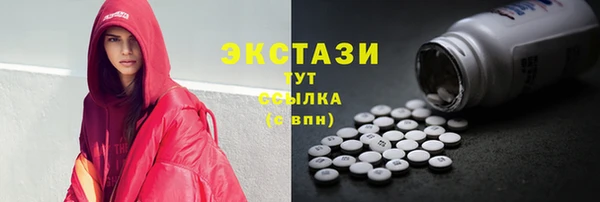 индика Козельск