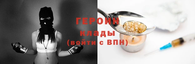 индика Козельск