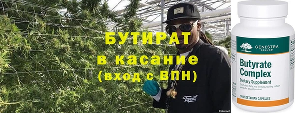 индика Козельск