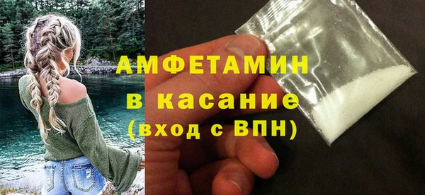 индика Козельск