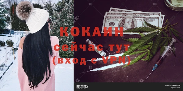 мдпв Кодинск