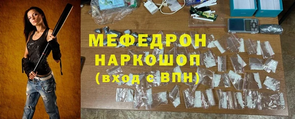 индика Козельск