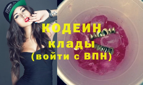 индика Козельск