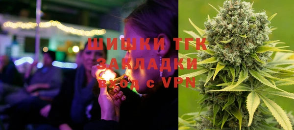 мдпв Кодинск
