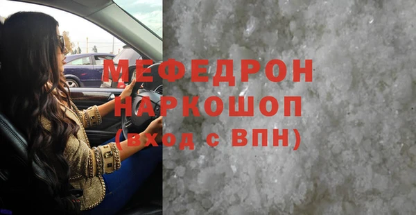 индика Козельск