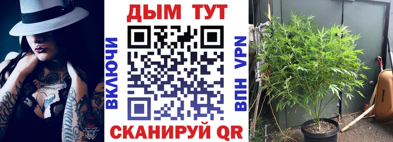 Каннабис конопля Собинка